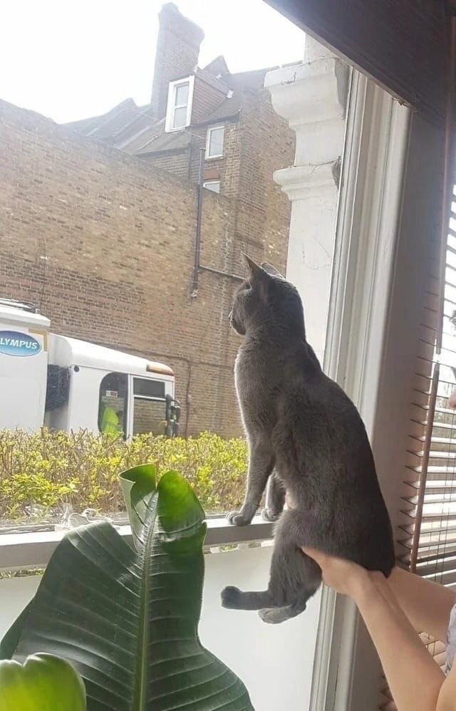  ,     .    ,     =) - 2