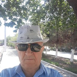, 66, 