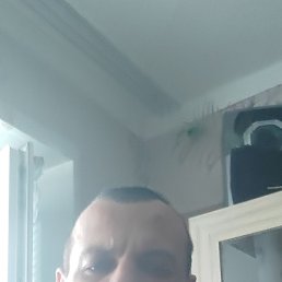 ����, ������, 40 ���