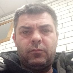 �������, �������, 41 ���