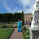  ,  -  5  2025       ,    ,     .