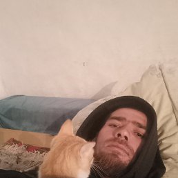 , 32, 