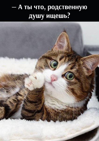       - 10  2025  22:33 - 2