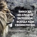���� R�, ������� - ��������� 11 ���� 2024