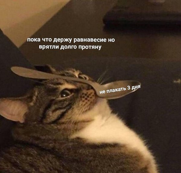    - 4  2024  00:21