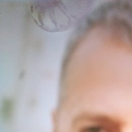 ���� ������, �������, 49 ���