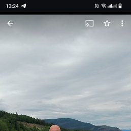 , 45 , 