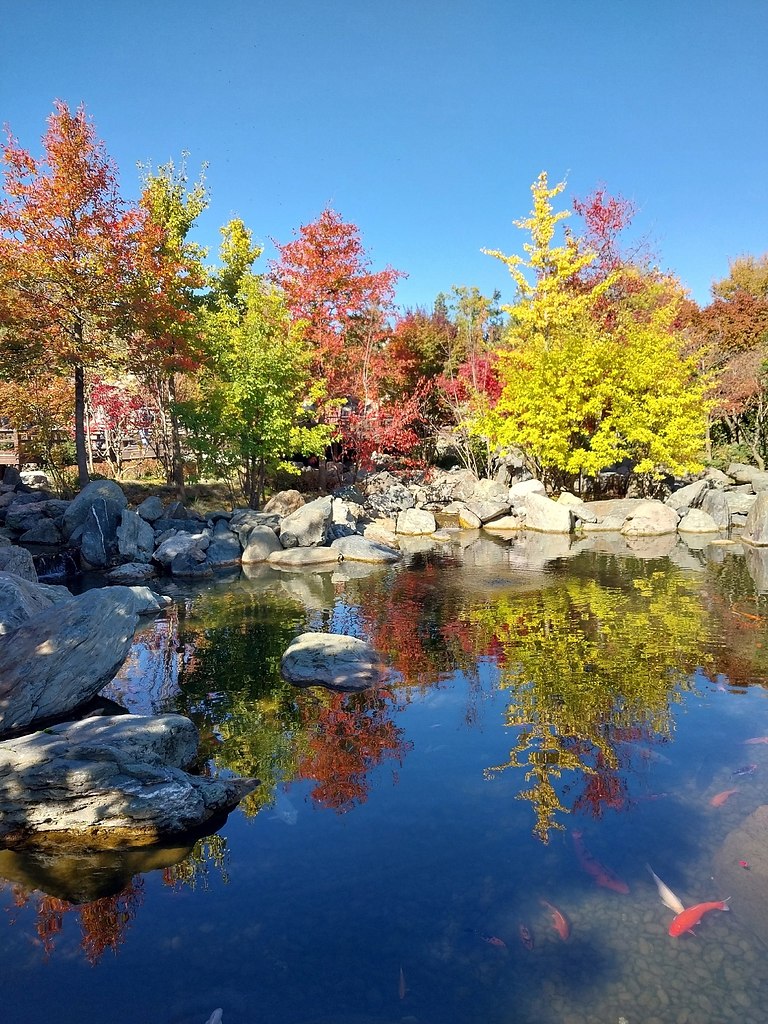 paca oce  oco ca  pacoape. - 8