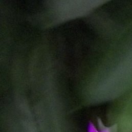 ����, ������������, 51 ���