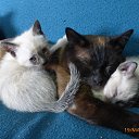 ���� �������, ������, 55 ��� - ��������� 20 ��� 2025 � ������ ������� ���