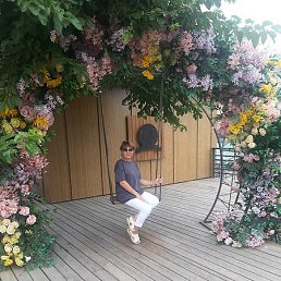 �������, �������, 55 ���