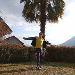 , 34, 