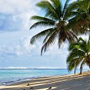 ���� �����, �����������, 31 ��� - ��������� 11 ����� 2026