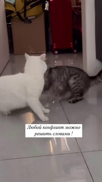     !) - 2