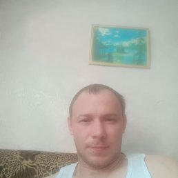 ���� ���������, ������, 37 ��� - ��������� 14 ������� 2024