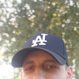 , 41, 