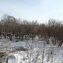 ���� ������, �������, 68 ��� - ��������� 21 ����� 2026 � ������ ������ ��������