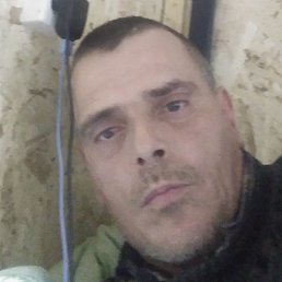 ���������, ������, 43 ����