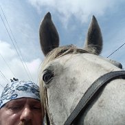 �������, 46 ���, ����