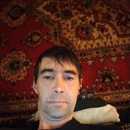 , 42, 