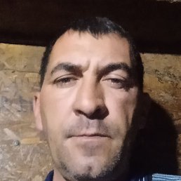 ������, ������, 37 ���