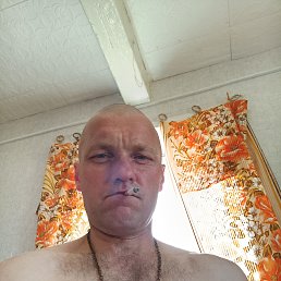 , 44, 