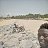 ���� Musah Mahmmoud, �����-���������, 30 ��� - ��������� 17 ������ 2026