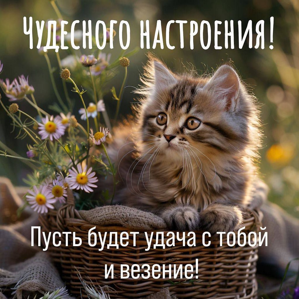  ,    . - 4  2025  11:29