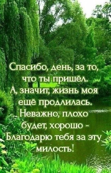 ₪╬═►  ||  ||  ◄═╬₪ - 8  2025  08:55