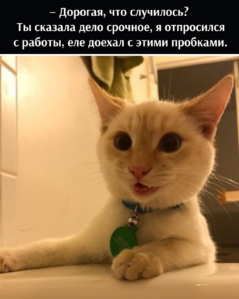       - 5  2025  13:24