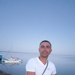 , 44 , 
