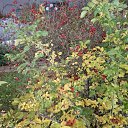 ���� ������, ������, 69 ��� - ��������� 25 ������ 2026 � ������ ���� ����������