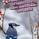 ���� ���������� �������, ������, 61 ��� - ��������� 15 ������� 2024 � ������ ���� ����������
