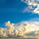 ���� �������, ������� - ��������� 24 ������ 2025 � ������ ���� ����������