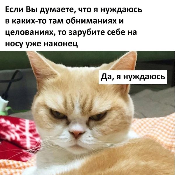 По некоторым откликам на пост об одиночестве я заметил, что иногда смешиваются воедино два очень ...