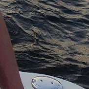 Григорий, 63 года, Санкт-Петербург Григорий, 63 года, Санкт-Петербург