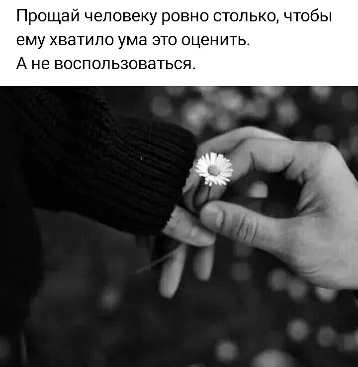 ***Victoria Viktorovna*** - 7  2025  16:16