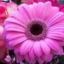 ���� ���������, ������, 21 ��� - ��������� 30 ��� 2024 � ������ ���� ����������