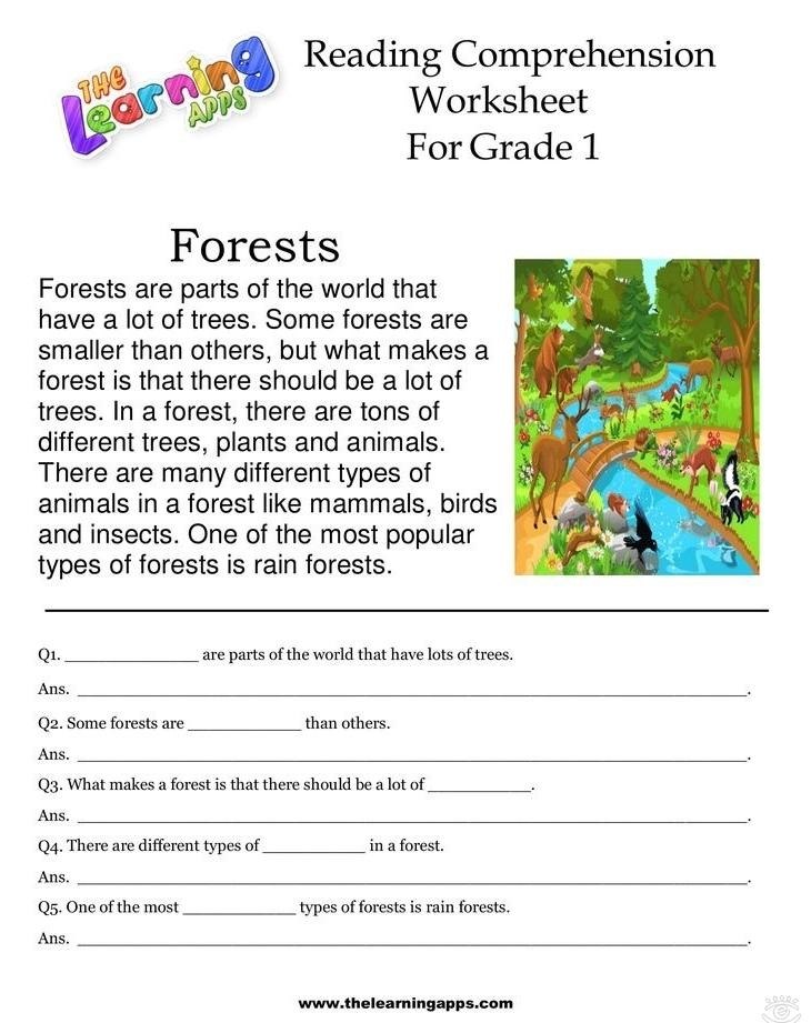 Reading comprehension - 2