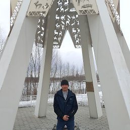 , 41 , 
