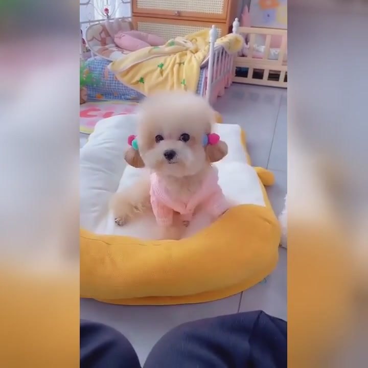 � ��o� ����c���, �o�o�e, ��o��e �a� �c�po��c�. ����� �������