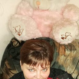 ���� �������, �������, 48 ��� - ��������� 14 ����� 2026