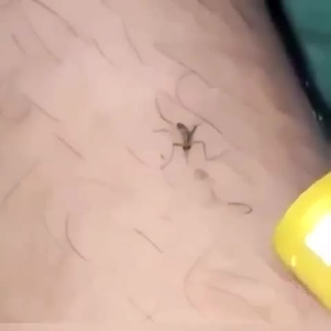       ... - 2