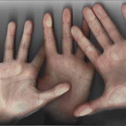 �����, ������, 43 ����