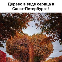 ���� ��������, ���������, 37 ��� - ��������� 9 ������� 2026