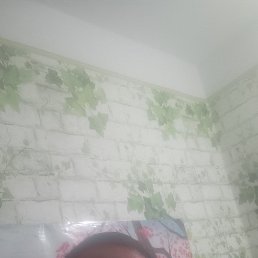 , 40, 