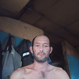 ���������, 40 ���, ����