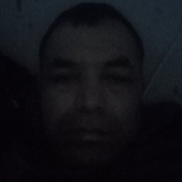 ������, ����, 43 ����