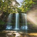 ���� ���������, �������, 54 ���� - ��������� 22 ��� 2026 � ������ ���� ����������