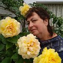 ���� �����, ������, 67 ��� - ��������� 20 ��� 2024